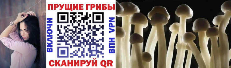 купить  цена  Партизанск  Псилоцибиновые грибы MAGIC MUSHROOMS 